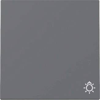 GIRA 328528 Wippe Symbol Licht System 55 