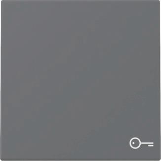 GIRA 328728 Wippe Symbol Tür System 55 