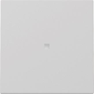 GIRA 3290015 Wippe Kontrollfenster 