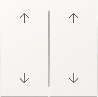 GIRA 329727 Wippe 2fach Pfeile 