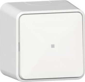 GIRA 311613 Wipp-Kontrollschalter 