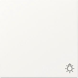 GIRA 328527 Wippe Symbol Licht System 55 