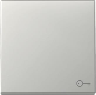 GIRA 3287600 Wippe Symbol Tür System 55 