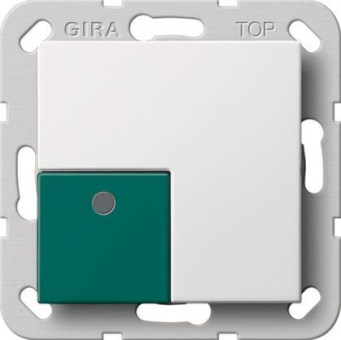GIRA 291103 Abstelltaster System 55 