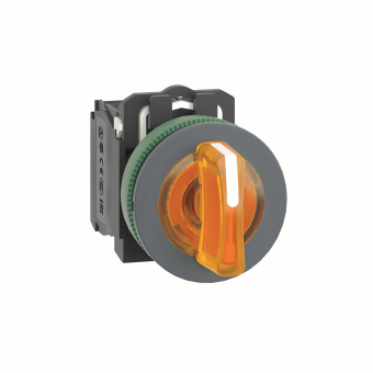 Schneider Leuchtwahlschalter  XB5FK135B5 