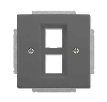 BJ Zentralscheibe anth future 2561-02-81 