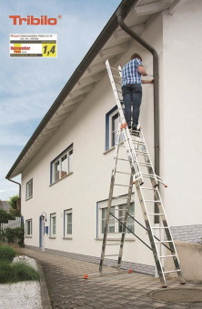 Krause "Tribilo" Sprossen         129673 