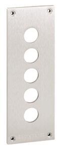 Schneider Einbauplatte 72x204mm  XAPE305 