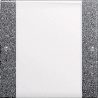 GIRA 213128 Wippenset 1fach BSF 