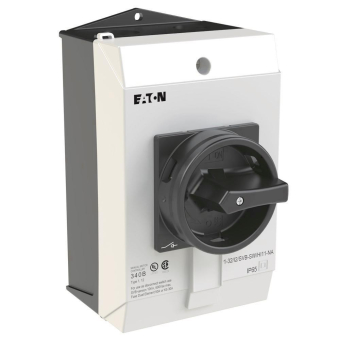 EATON P1-32/I2/SVB-SW/HI11-NA     255895 