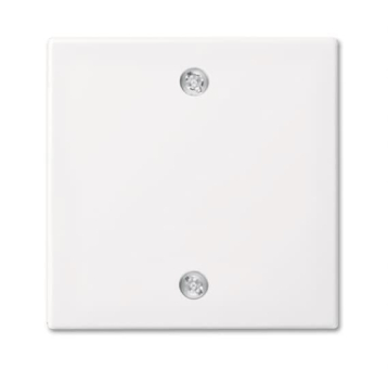 BJ Zentralscheibe Zugschalter   1796-914 