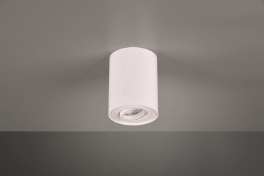 TRIO 612900131 Deckenleuchte COOKIE weiß 