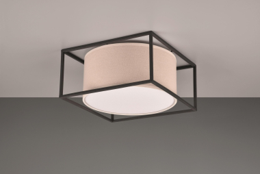 Trio Deckenleuchte ROSS, 2x    603100244 