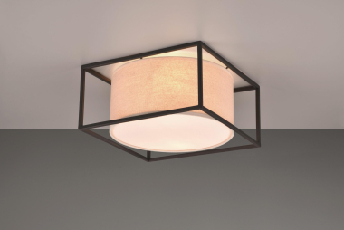 Trio Deckenleuchte ROSS, 2x    603100244 