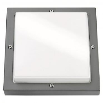 SGL LED-Wandleuchte Bassi grafit  623188 