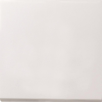 GIRA 0296112 Wippe Flächenschalter 