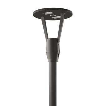 PIL HEDO+ FT 20 C/EW 730 AN96    3116030 