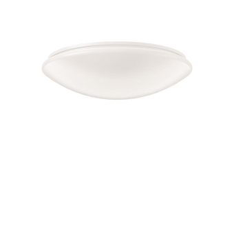 RZB Flat Polymero PMMA      311945.002.1 