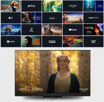 Panasonic TV-48Z80BEZ sw OLED-TV 