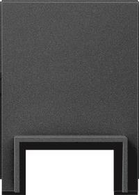 GIRA 1068005 Adapter Leitungseinf. Kanal 