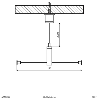 EVN APTAH200 Triangel-        AP TAH 200 