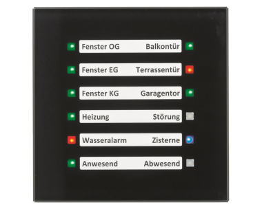 MDT SCN-GLED1S.01S Glas LED Anzeige 