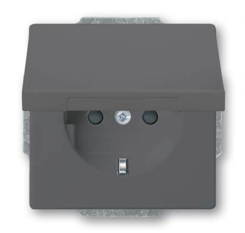 BJ SCHUKO Steckdosen-Einsatz 20 EUKBR-81 