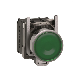 GS Leuchtdrucktaster           XB4BW33B5 