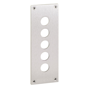 Schneider Einbauplatte 72x204mm  XAPE305 