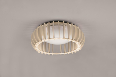 Trio LED DL MONTE 16,5W LED    R62171130 