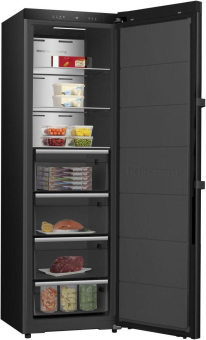 Hisense FT5K310GSFC1 sw Gefrierschrank 