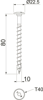 OBO HT 10x80 TD Tellerkopfschraube 