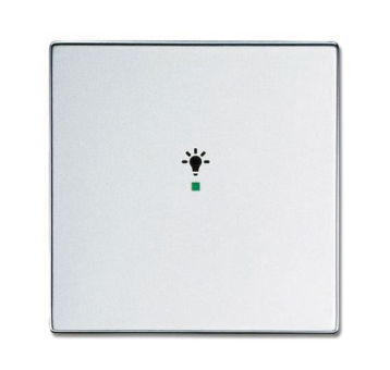 BJ Wippe 1fach Symbol Licht   6231-10-83 