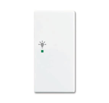 BJ Wippe/R 2-fach Licht      6231-22-914 