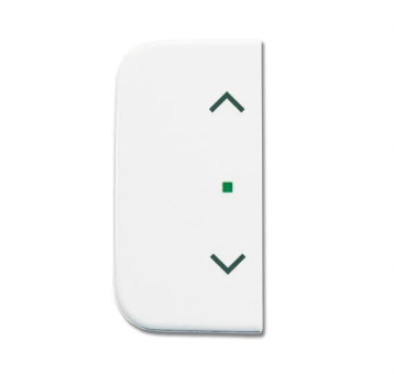BJ Wippe 2-fach Symbol       6232-20-214 