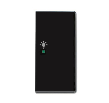 BJ Wippe rechts 2-fach,Symbol 6231-22-81 