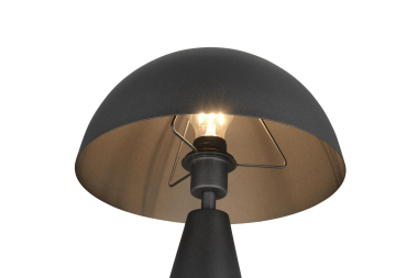 Trio Tischleuchte ALFIE 1x E27 565000132 