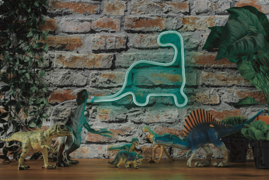 Paulmann Neon Colorflex USB Strip  70563 