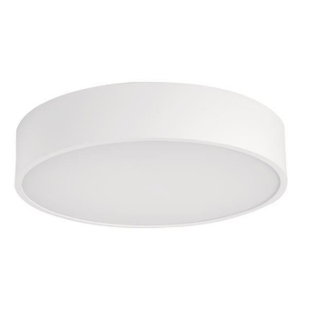 Brumberg LED-                   12315173 