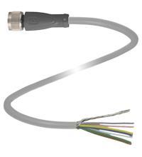 PF Female cordset       V19-G-10M-PVC-TP 