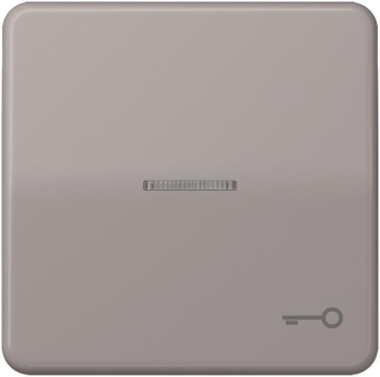 JG Wippe Symbol Tür       CD 590 KO5T GR 