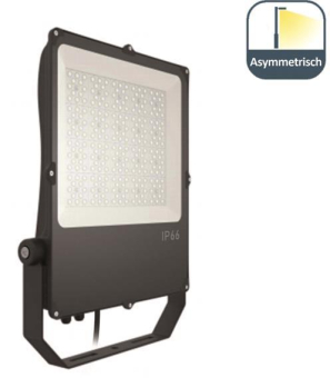 LTEK Flutlichtstrahler asymmetr. FLS7 