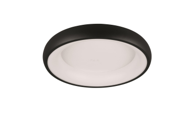 TRIO Deckenleuchte CARDONA 29W 649614532 