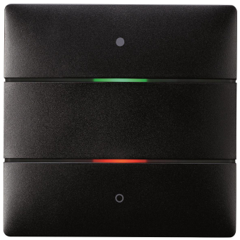 Theben KNX-Tastsensor 2   iON 102 KNX BK 