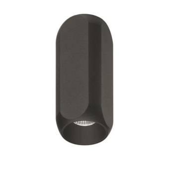 Brumberg                        12123183 