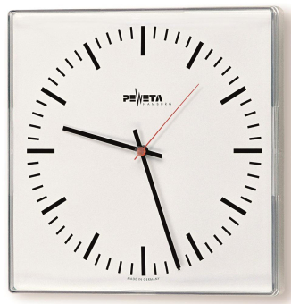 Peweta 91.280.331 NTPclient 325x325mm 