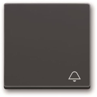 BJ Wippe m.Aufdruck anth      2520 KI-81 