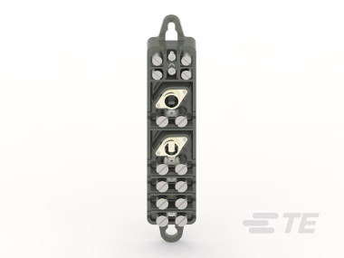 Rayc Einschleifsicherung   GURO-E214-TNS 