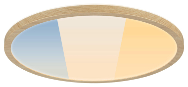 Paulmann LED Panel IP44 rund 398mm 71260 