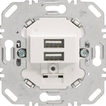 Berker USB Ladesteckdose 230V     260209 